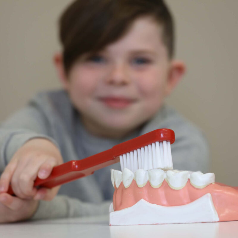 Zahnaerzte_am_Augustaplatz_Mundhygienetraining_Kachel