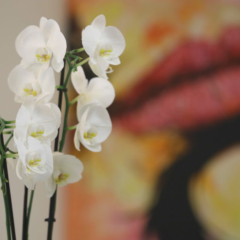 Zahnaerzte_am_Augustaplatz_Saeure_Base_Kachel